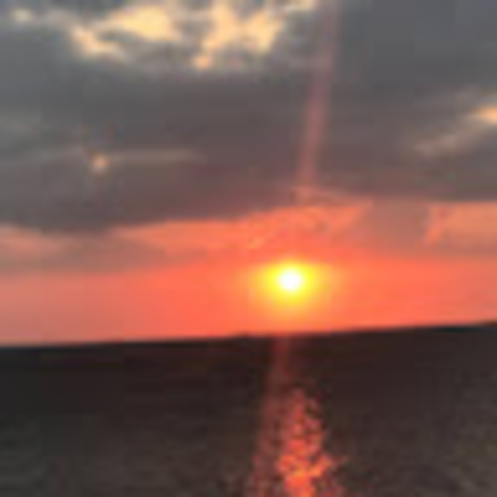 Meet your Posher, Ellie